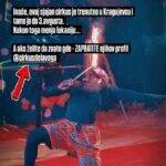 Reakcije gradjana na predstavu cirkusa Delavega u Kragujevcu